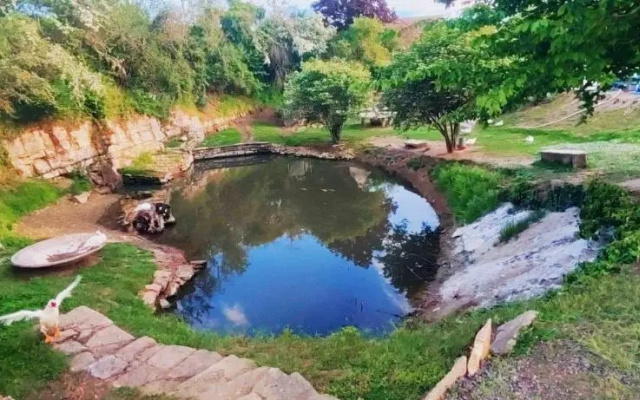 Studio Au Bord de L'etang