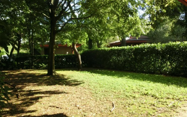 Tra I Pini
