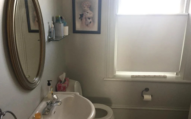 Spotted Dog B and B