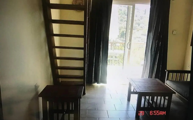 Despina Studios Kastanies Raxes Ikaria # 7