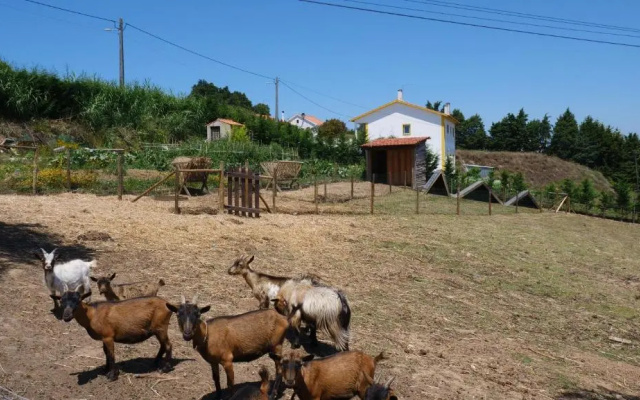 Casa Margarida, Quinta Carmo - Alcobaça - Nazaré