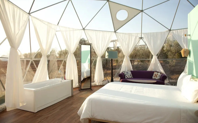 Glamping Skies