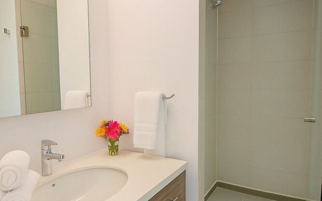 Panoramic Lofts La Silla
