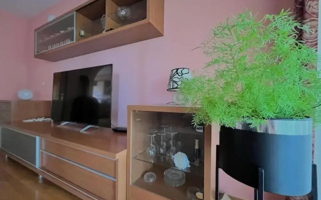 Apartment Nico