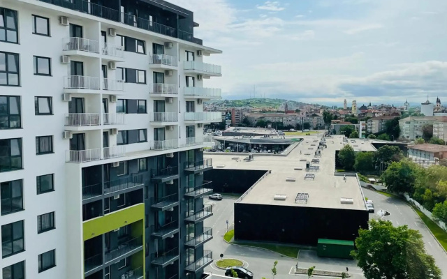 The Palm Apartment - free parking central studio