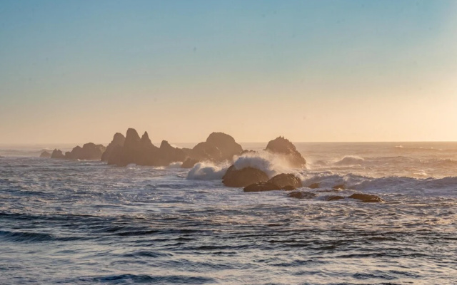 Ocean Dream