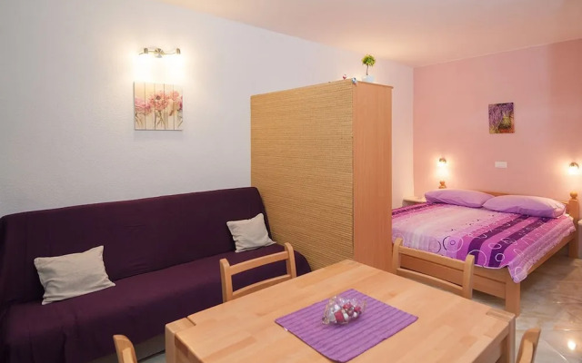 Spacious Apartment Krvavica