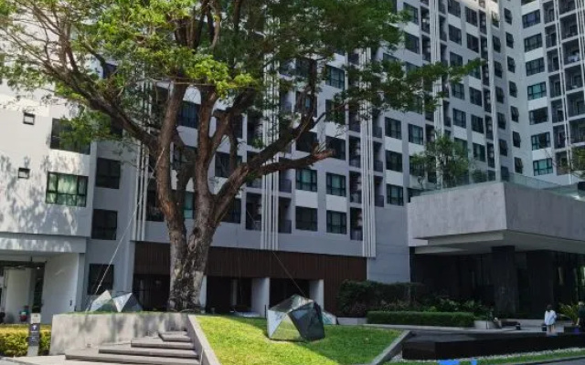 LLX Apartments at the Base Condo