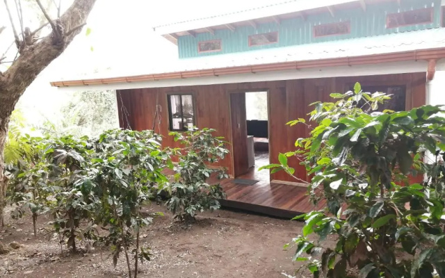 Monte Santo Y Café