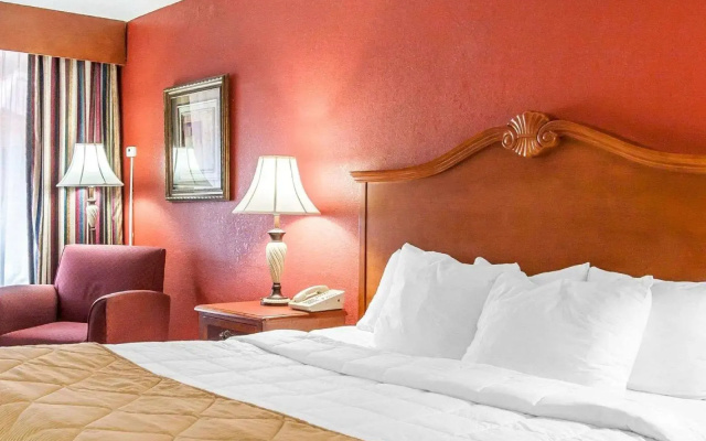 Clarion Inn & Suites University Center