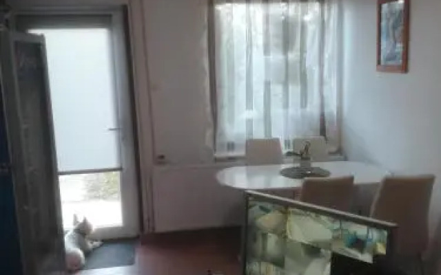 Fekete Macska Panzió