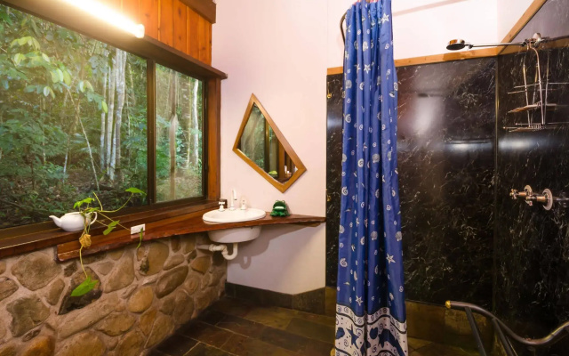 The Epiphyte Bed & Breakfast