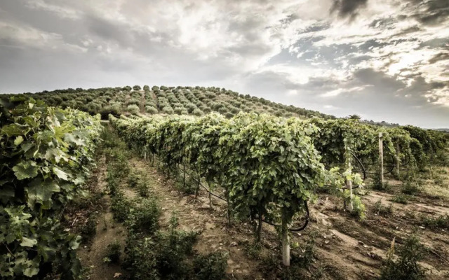 Agriturismo Il Giriatello