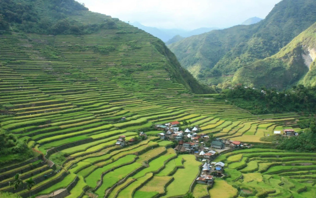 Batad Top View Point Homestay and Restaurant