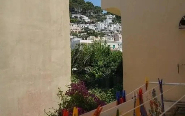 Divina Capri By Dimorra