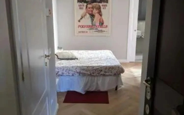 Charming apartment in Milan - Brera