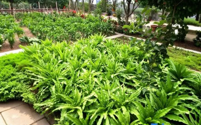 Tsubaki B&B (Tex Bagua City)