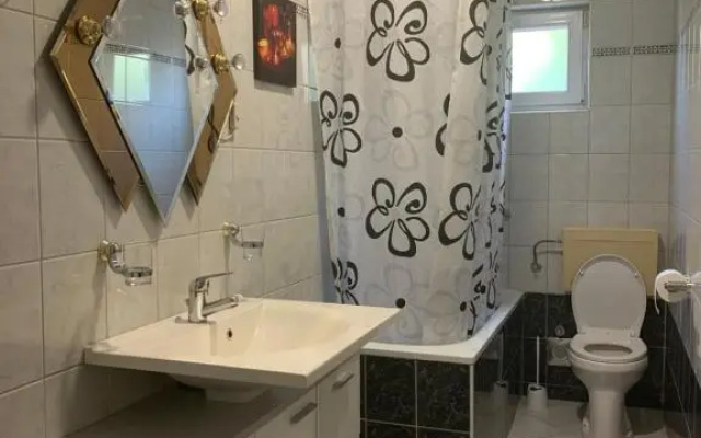 Apartment Roni