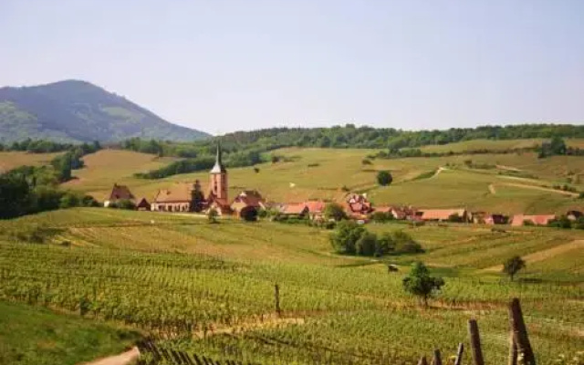 Hôtel Winzenberg