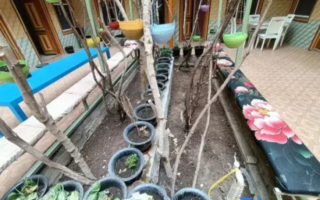 Kashgar Courtyard Style Homestay