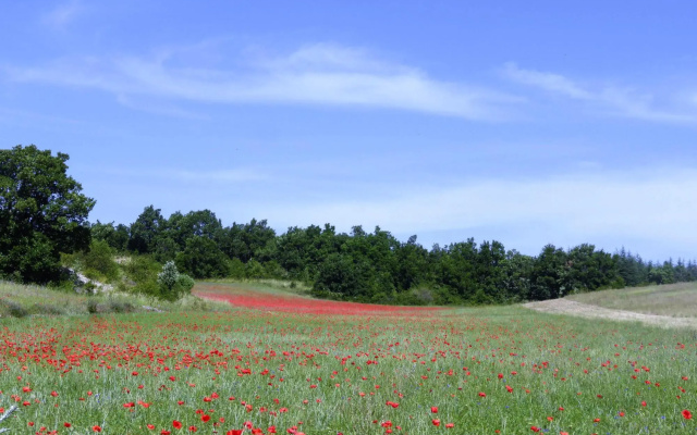 Charming holiday home with private garden, Revest-du-Bion
