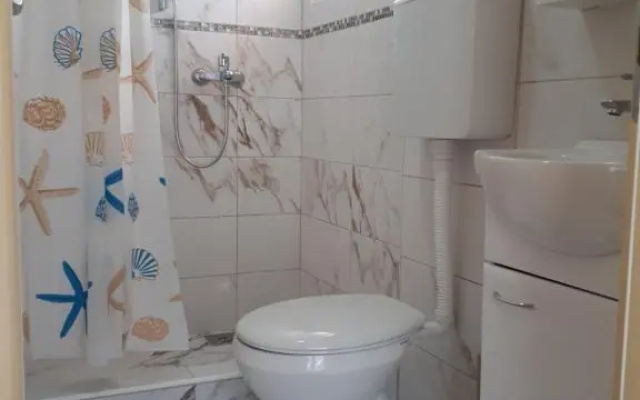Apartments Vitic