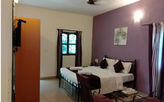 3 Olives Mandrem Goa