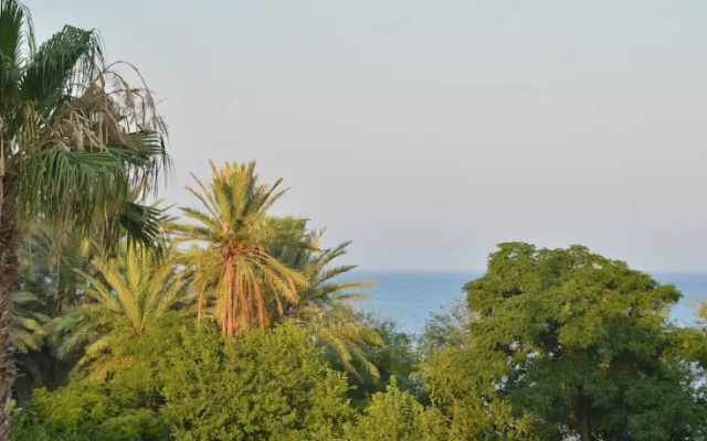 Grand Meltem Hotel