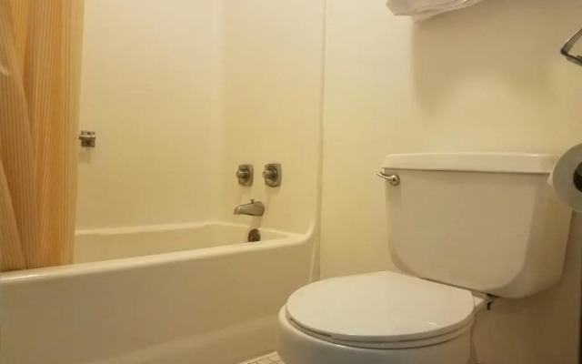 Stay Inn