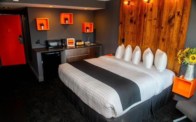 Uptown Hotel St Pete