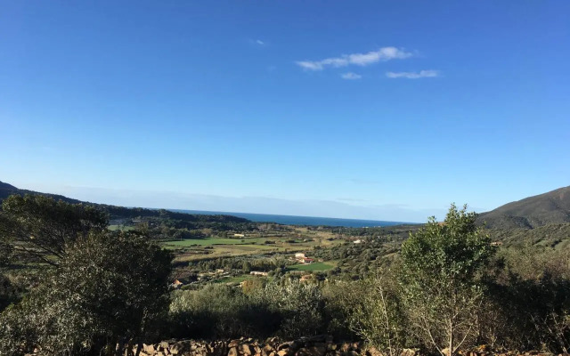 Majori