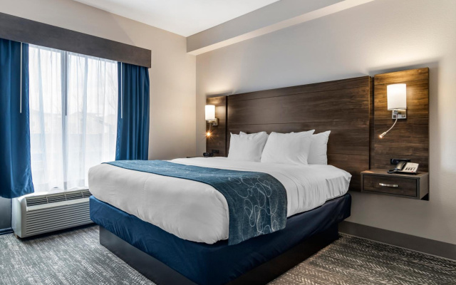 Comfort Suites McDonough Atlanta South