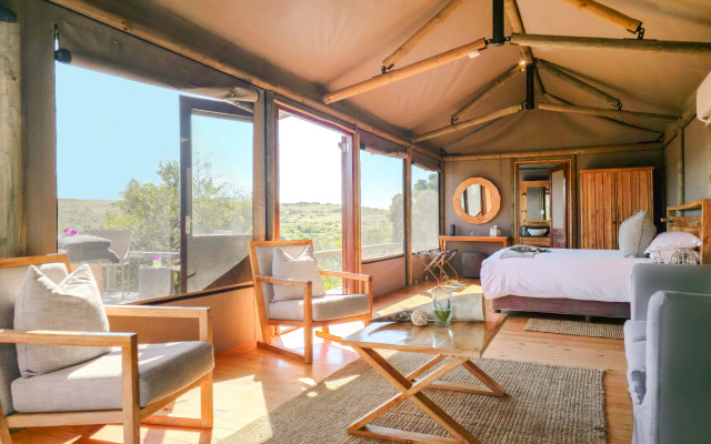 Hlosi Game Lodge - Amakhala Game Reserve