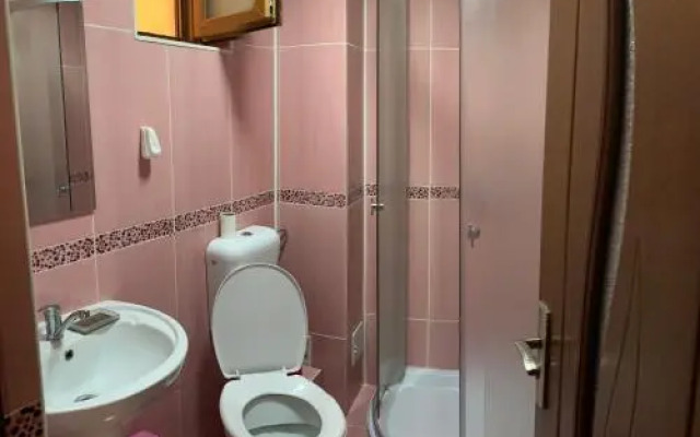 Vila Ammos Apartments Busteni