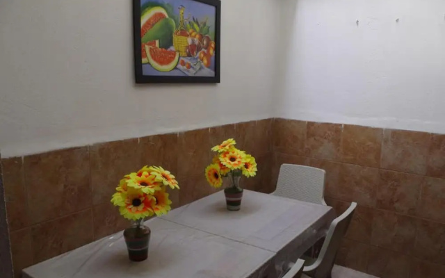 New Iguana House Hostel