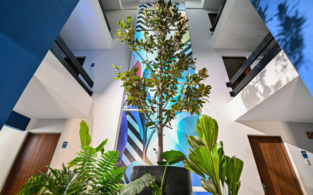 Vista Express Guadalajara Expo SureStay Collection by BW