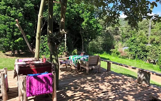 Jungle guest house