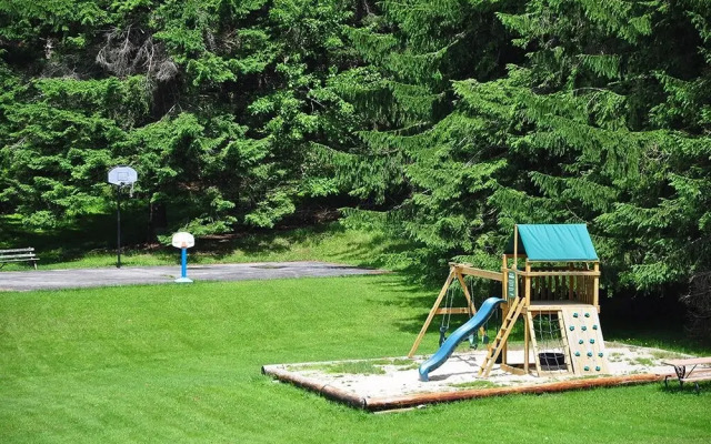 Piney Bear Cabin