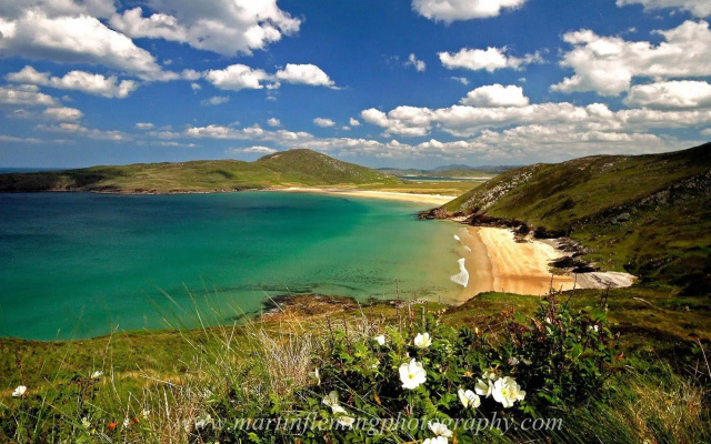 Downings Bay Hotel