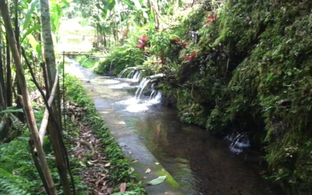 Soka Jatiluwih Villas