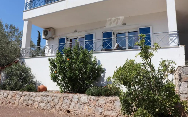 Ioannas 1