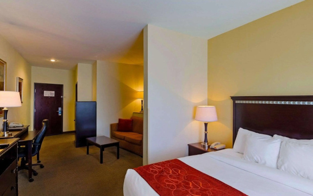 Comfort Suites University