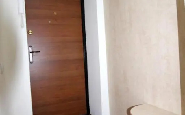 Nadezhda Apartment on Abaya 59
