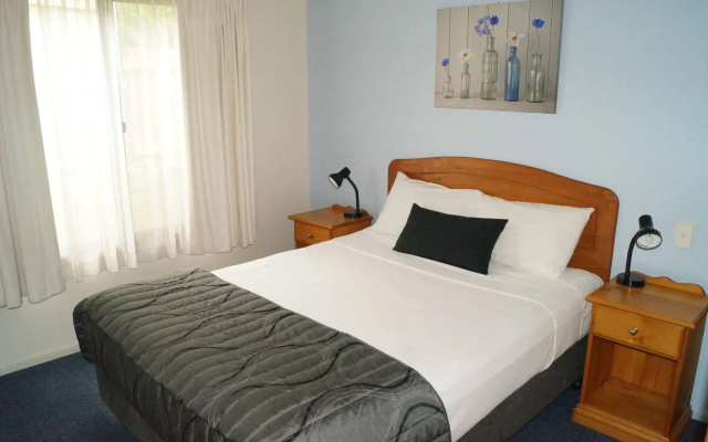 Asters on James Motor Inn