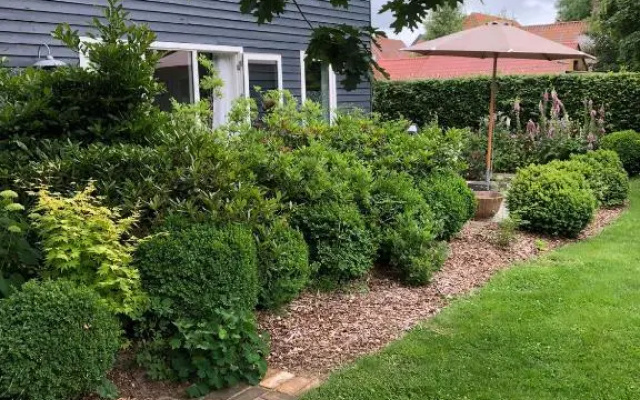 Fly B&B