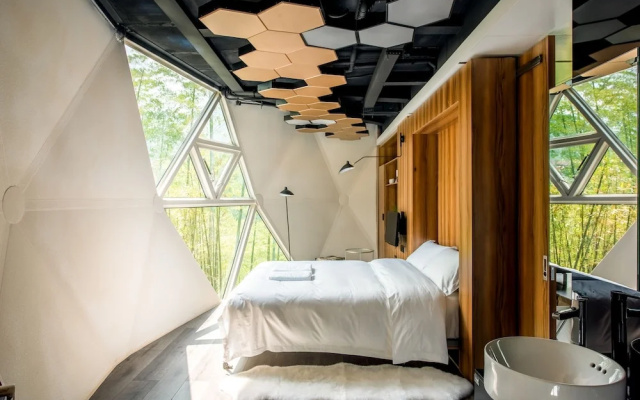 Planet Zero Retreat