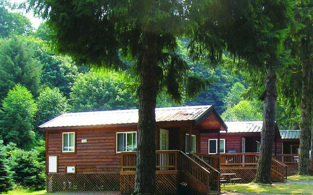 Thunderbird Rv Camping Resort In Kenmore United States Of