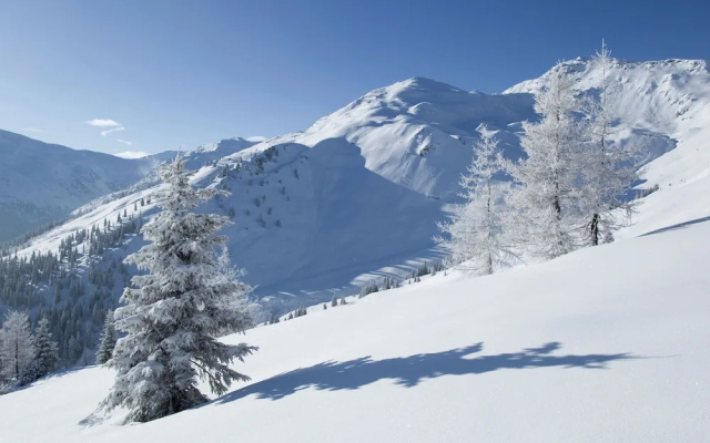 Cozy Couple or Group Chalet in Fgenberg Near Ski Slopes