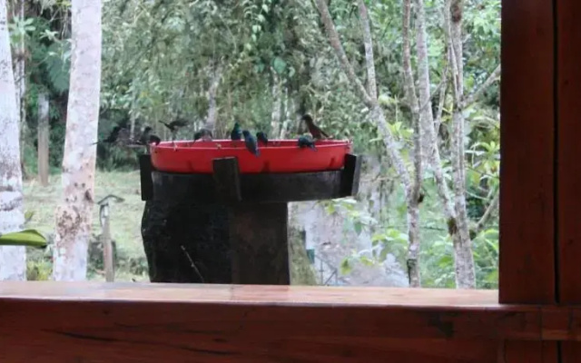 Umbrellabird Lodge- Reserva Buenaventura