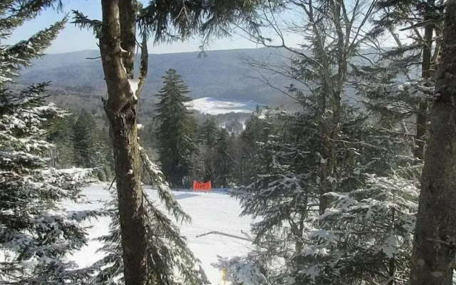 Stemwinder #8:3 Bedroom/3.5 Bath Slopeside